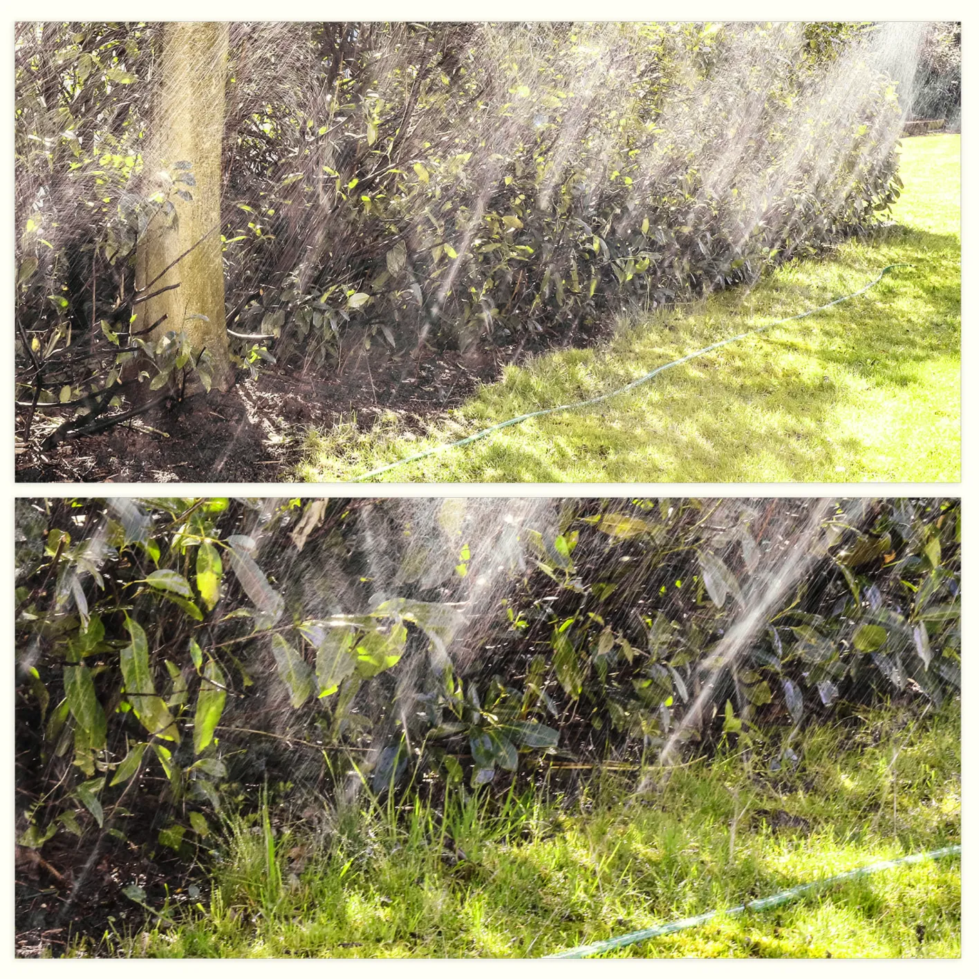GRÜNTEK Schlauch-Regner, Sprühschlauch, Rasensprenger Gartenschlauch 15 m, Beregnungsfläche 4-5 m², Länge flexibel erweiterbar, Bewässerungsschlauch/Sprühregner mit Verbindungsstück aus Messing
