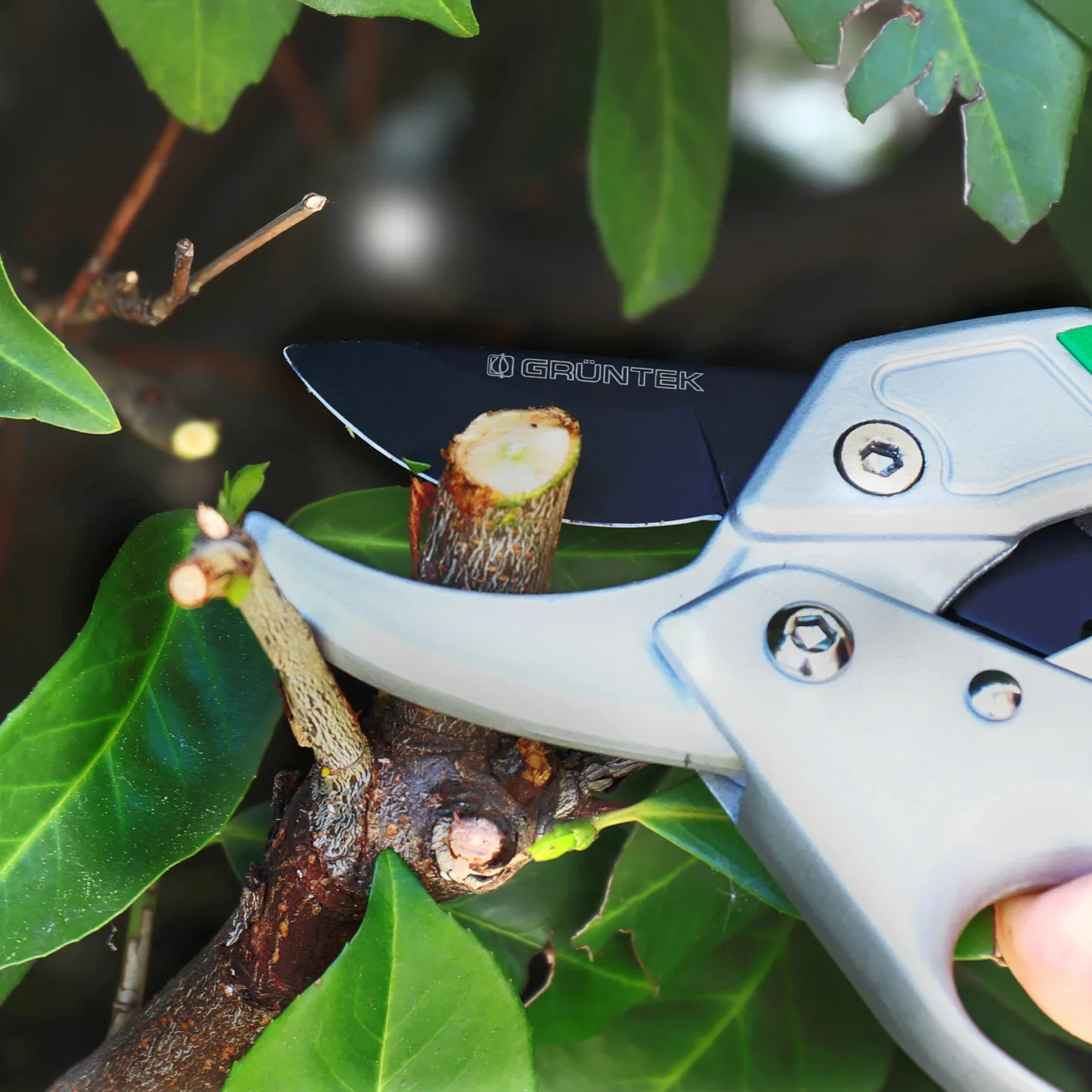 GRÜNTEK Amboss Gartenschere KONDOR 200 mm, automatisch zugeschaltete Ratsche