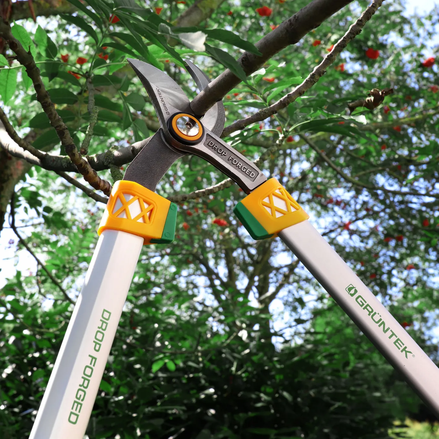GRÜNTEK Professionelle geschmiedete Astschere X-25, 650 mm, scharfe und Bequeme Bypass Baumschere