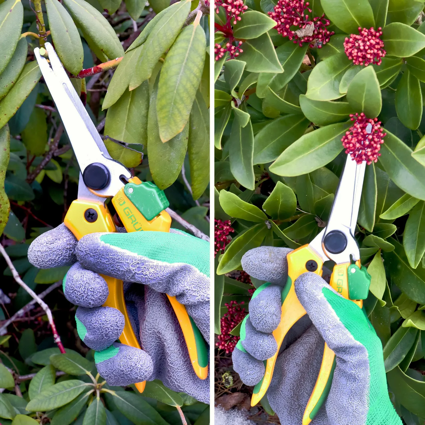 GRÜNTEK Gartenschere Colibri Long 195 mm, Bypass-Schneide für Pflanzen und Blumen