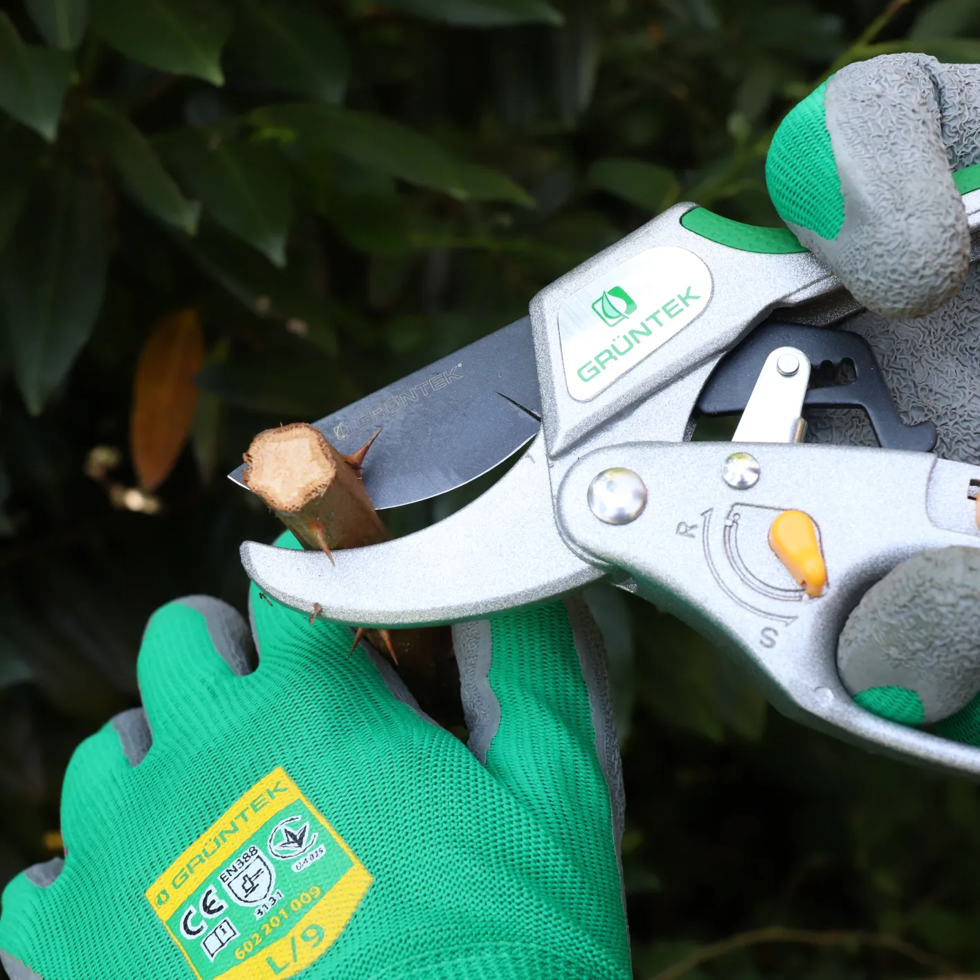 GRÜNTEK Ratschen Gartenschere KAKADU Baumschere mit Ein- und Ausschalten der Ratsche