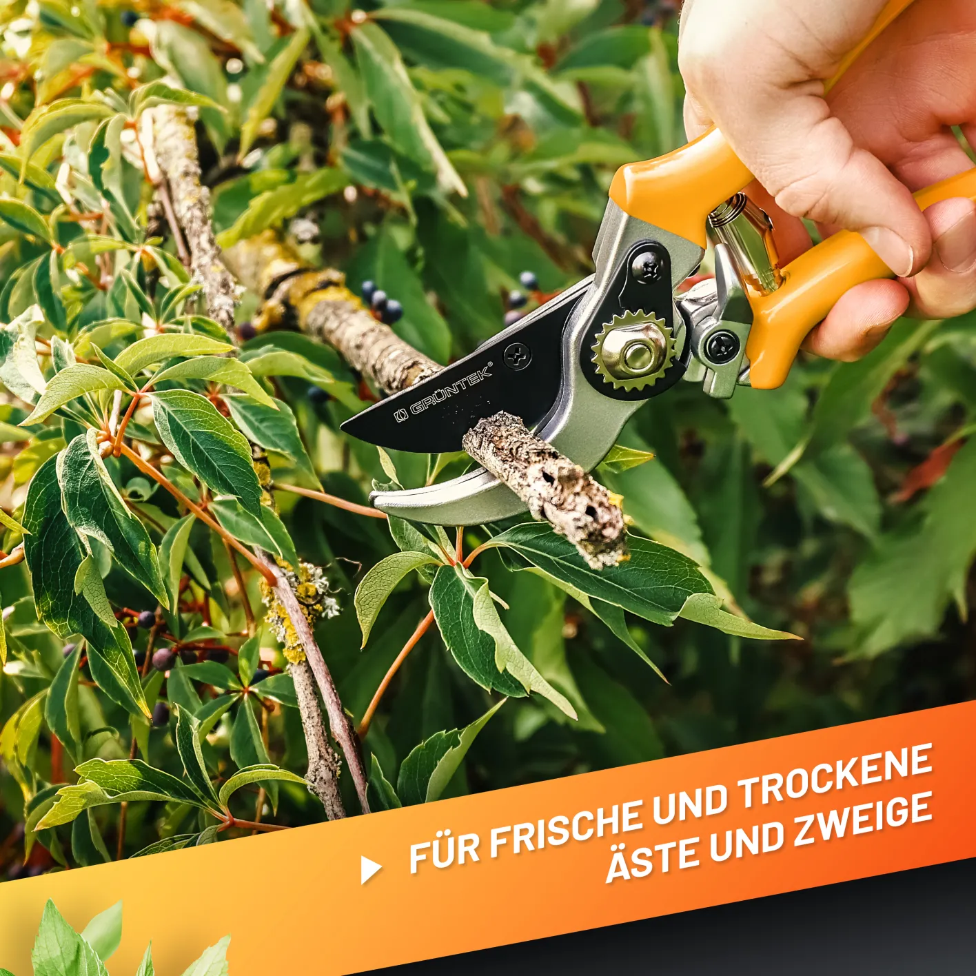 Gruentek Gartenwerkzeuge Produkt Bild