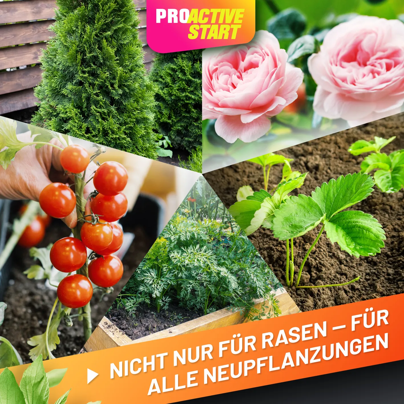 GRÜNTEK Dünger ProActive START