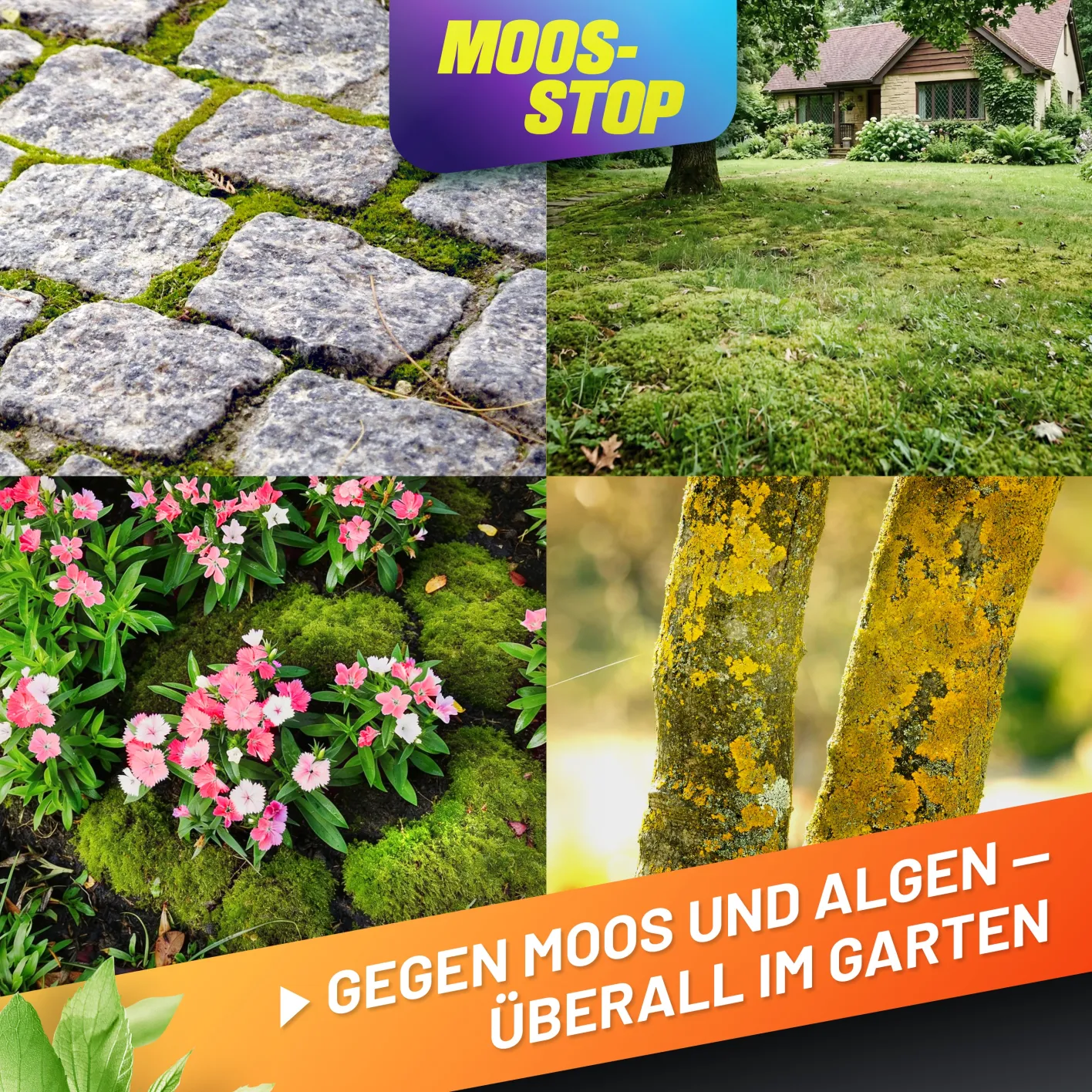 GRÜNTEK Dünger Moos-Stop