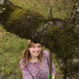 GRÜNTEK WELS Teleskop Astsäge Set, Handsäge 50 cm und Teleskopstange bis 240 cm, Baumsäge mit 3D Zahnung