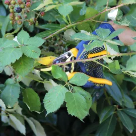 GRÜNTEK Gartenschere Z-19 GESCHMIEDETE Bypass Rosenschere