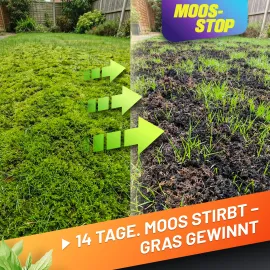 GRÜNTEK Dünger Moos-Stop