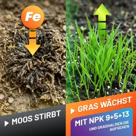 GRÜNTEK Dünger Moos-Stop